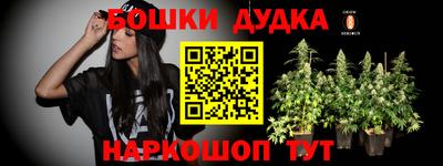 альфа пвп Заводоуковск
