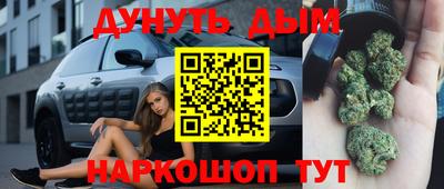 альфа пвп Заводоуковск