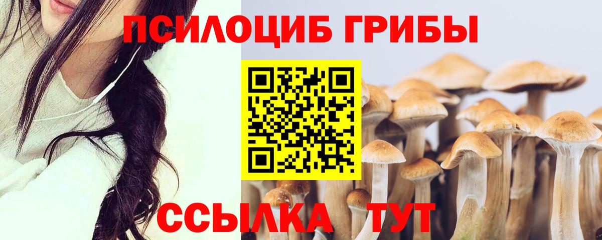 Галлюциногенные грибы мухоморы  Вход с VPN  Новоалтайск  где можно купить наркотик  Галлюциногенные грибы Psilocybine cubensis 