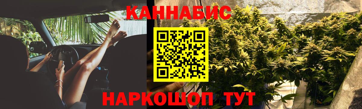 Конопля планчик Новоалтайск